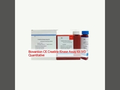 Biovantion CK Creatine Kinase Assay Kit IVD Quantitativo