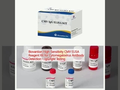Biovantion High-Sensitivity CMV ELISA Reagent Kit per il rilevamento degli anticorpi anti-citomegalovirus