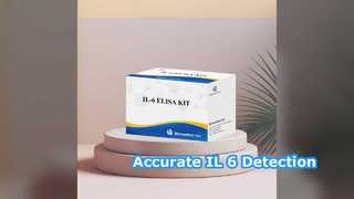 IL-6 ELISA Kit 96 test Rilevamento accurato