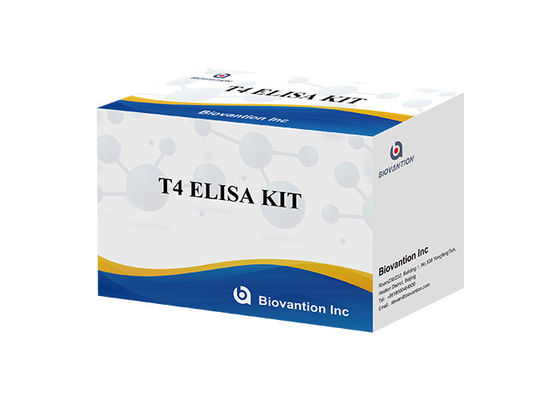 Kit di rilevamento di tiroxina T4 Elisa