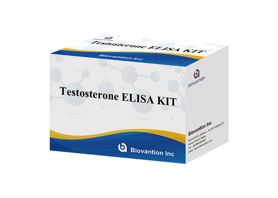 Testosterone Elisa Test Kit ad alta specificità per una diagnosi accurata