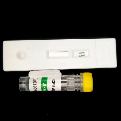 Siero stimolante della tiroide 96Hormone Tsh Elisa Reagente Kit per 96 persone
