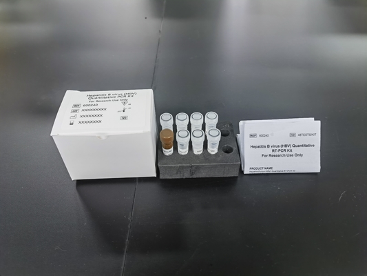 Kit di test ELISA quantitativo per l'HBV PCR chimico e farmaceutico per la diagnosi RUO