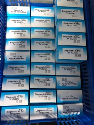 Anti-TP Treponema pallidum kit di prova ELISA siero/plasma diagnostica medica