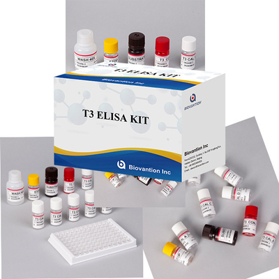 Laboratorio Ospedale Clinica KIT TEST ELISA T3 Triiodotironina ampiamente utilizzato