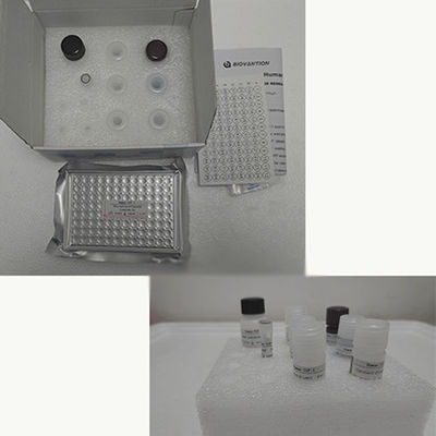 Kit di prova Elisa TNF-α RUO umano