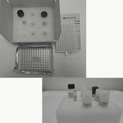 Kit di prova TNF-α RUO Elisa per il siero umano con 96 test