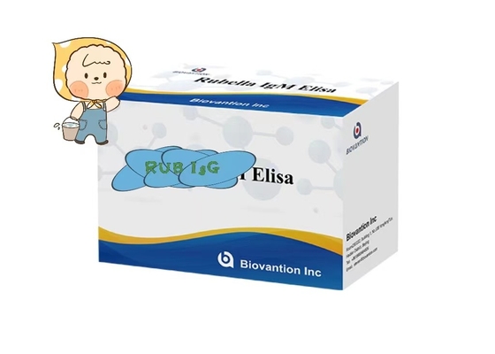 Rubella IgG ELisa Test Kit Fertilità Troch Utilizzare donne in gravidanza