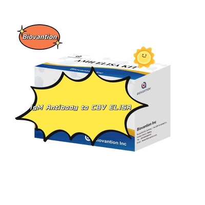 Kit diagnostico per anticorpi IgM contro CBV Kit di prova Elisa 50μL siero Diagnostica medica