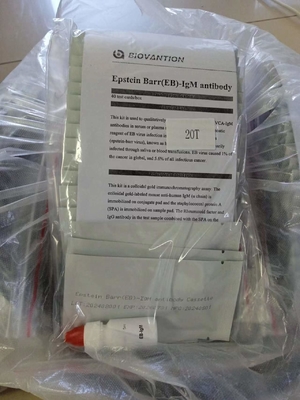 Epstein Barr Anticorpi EB-IgM Cassetta Rapid Test Siero Rapid Test Professionale
