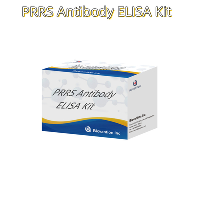 Test ELISA per il PRRSV animale Anticorpi PRRS suini Anticorpi veterinari Reagenti ivd