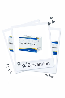 VCAM-1 RUO Elisa Kit Molecola di adesione delle cellule endoteliche vascolari umane 1