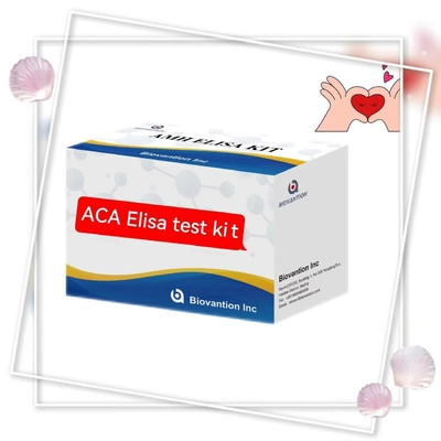 Anti ACA IgM Elisa Test sugli animali con 18 mesi di durata specifico 2-3 ore