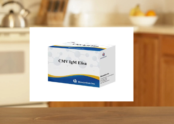 cMV IgM kit di prova Elisa Kit di analisi di immunosorbenti legati agli enzimi Kit di analisi ELISA Kit di analisi