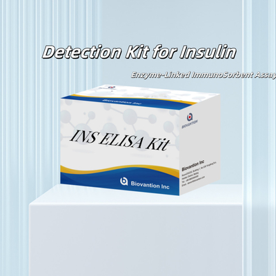 Kit di prova dell'insulina INS Elisa professionale per applicazioni diagnostiche e di ricerca