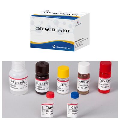 96T CMV ELISA Test Kit con rilevazione colorimetrica e metodo sandwich per anticorpi contro il citomegalovirus