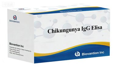 High Sensitivity Chikungunya IgG ELISA Kit for In Vitro Diagnostic Use