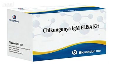Kit ELISA per il reagente per uso diagnostico in vitro per Chikungunya IgG