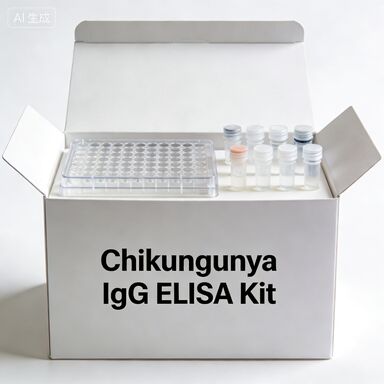 Kit ELISA per il reagente per uso diagnostico in vitro per Chikungunya IgG
