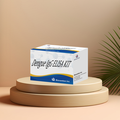 Kit ELISA Dengue IgG personalizzabile ad alta sensibilità per 96 test/kit in laboratori clinici