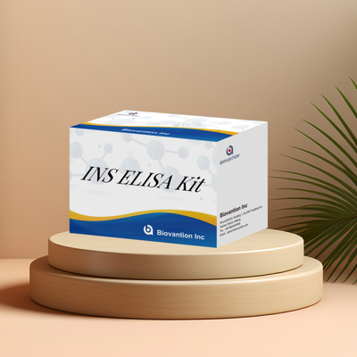 Kit ELISA per INS (Insulina) umana | Kit di dosaggio ELISA per test quantitativo dell'insulina, ELISA sandwich per siero e plasma, 96 test, reagente per ricerca di laboratorio