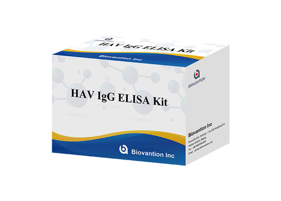 Virus dell'epatite A di HAV IgG Elisa Kit Antibody Diagnostic Kit For