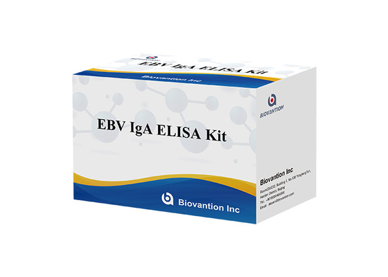 Esemplare di EBV-VCA IgA Ab Test ELISA Kit Enzyme Immunoassay Test Plasma