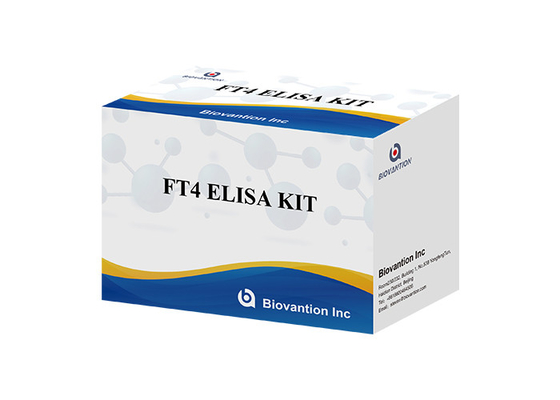 Esemplare del siero dell'analisi del sangue di FT4 Elisa Test Kit Free Thyroxine