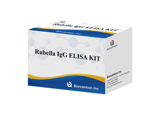 Laboratorio o ospedale Kit di prova di alta precisione per la rubella IgG ELISA