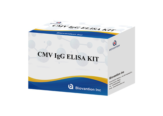 Laboratorio o ospedale Kit di prova di alta precisione per il CMV IgG ELISA