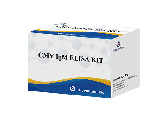 Laboratorio o ospedale Kit di test ELISA per anticorpi IgM ad alta precisione contro il citomegalovirus (CMV)