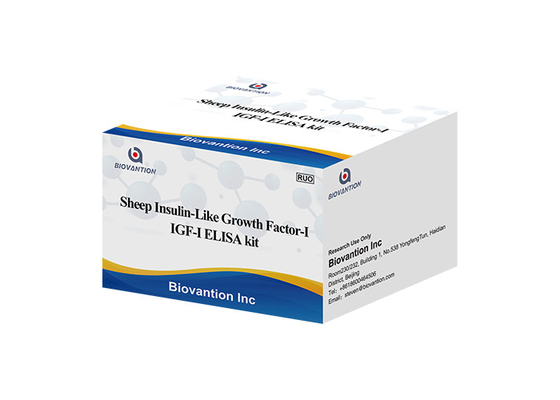Somatomedina delle pecore Igf1 Elisa Kit Insulin Like Growth Factor I