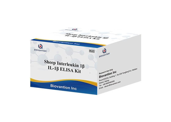 Interleuchina delle pecore 1 prova Kit Il 1b Elisa Kit di ELISA RUO di Beta Elisa Kit IL1F2