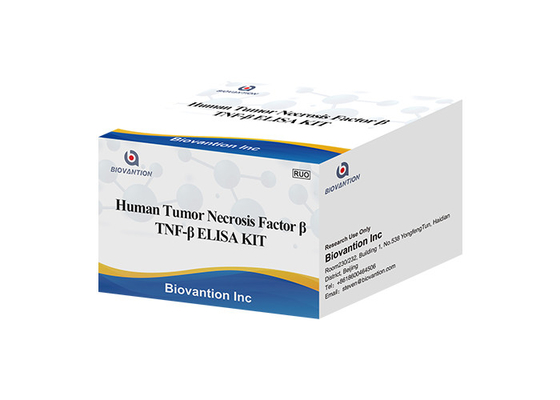 Alfa ELISA KIT Human Tumor Necrosis Factor PIÙ LEGGERO DELL'ARIA del Lymphotoxin di TNFB TNFSF1 beta
