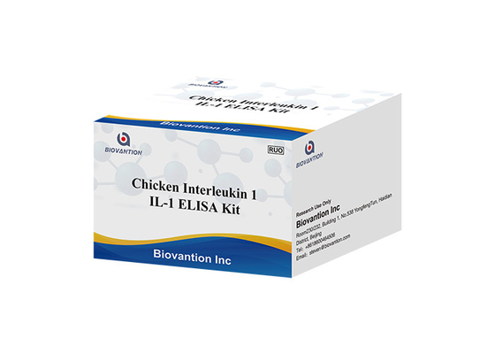96 prova Kit Chicken Interleukin di ricerca RUO di pozzi IL1 1 ELISA Kit