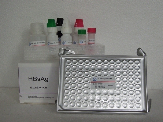 Kit di reagenti di rilevamento ELISA High Accuracy HBsAg Elisa Test Kit