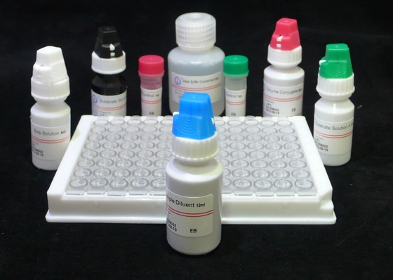 Analisi ELISA Kit della generazione del Hiv quarto della prova ab AG di HIV ISO13485 60 minuti