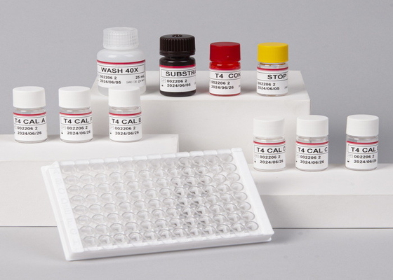 Laboratorio o ospedale Kit di prova quantitativa ELISA HBsAb ad alta precisione