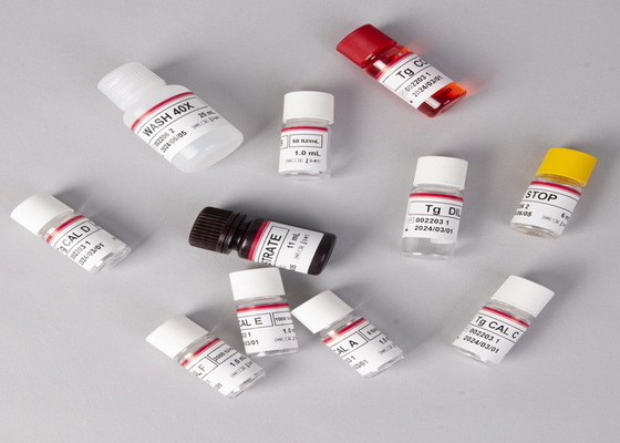E2 Kit di prova ELISA Detezione in vitro Detezione medica Alta precisione