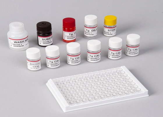 E2 Kit di prova ELISA Detezione in vitro Detezione medica Alta precisione