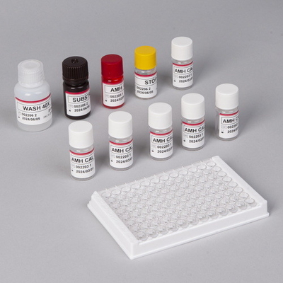 80 prova di Kit Anti Mullerian Hormone Blood della prova del plasma AMH di minuti