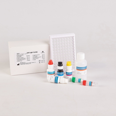 Kit Elisa Malondialdeide umano / Kit Elisa umano