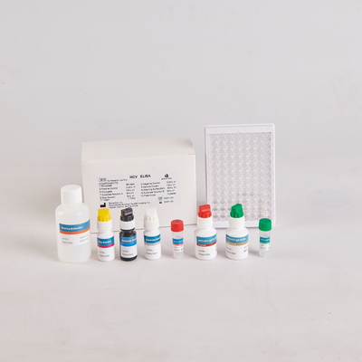 Kit Elisa per la PTH umana/Kit Elisa per l'ormone paratiroideo umano per la RUO con 96 test