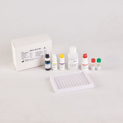 Brucella elisa kit di prova RUO Elisa kit di prova di prodotto legato all' enzima RICERCA USO SOLO Sulla prova animale