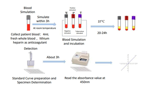 Kit TB-IGRA Elisa Risultati rapidi e accurati per la diagnosi