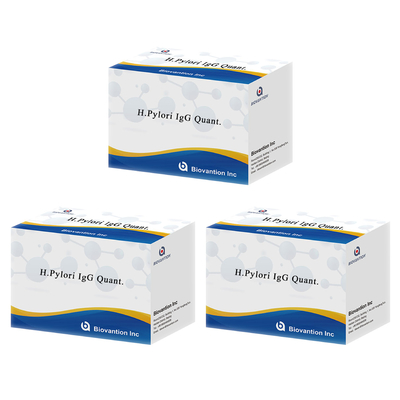 H.Pylori IgG Quant. Kit Elisa Origine Kit Elisa Test Kit Format Kit di Biovantion