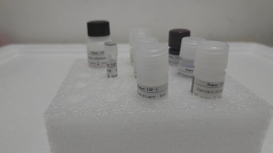Ratto NF-κB conservato a 2-8°C Metodo ELISA Kit di prova RUO con specificità del 98%