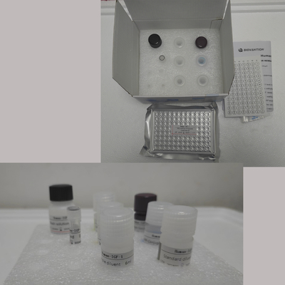 Kit Elisa per il Renin umano con 96 test