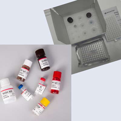 Kit Elisa MEPI umano con 96T