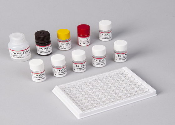 Kit di rilevamento di tiroxina T4 Elisa